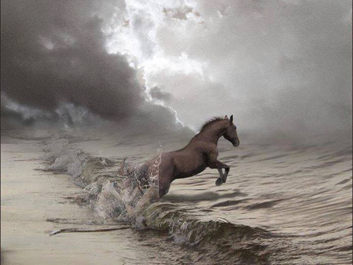 The leap into the unknown