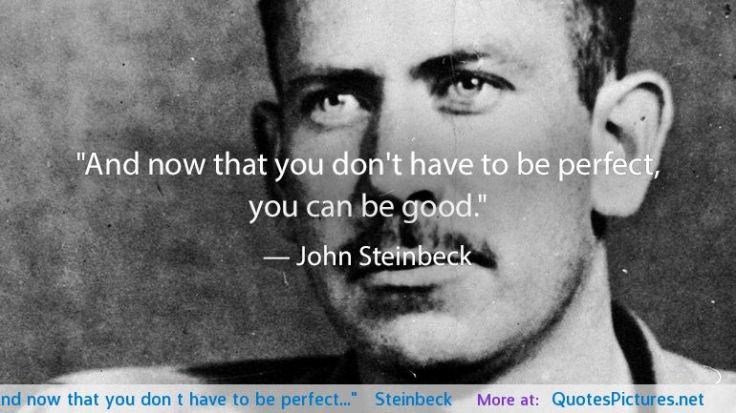 and-now-that-you-dont-have-to-be-perfect-steinbeck
